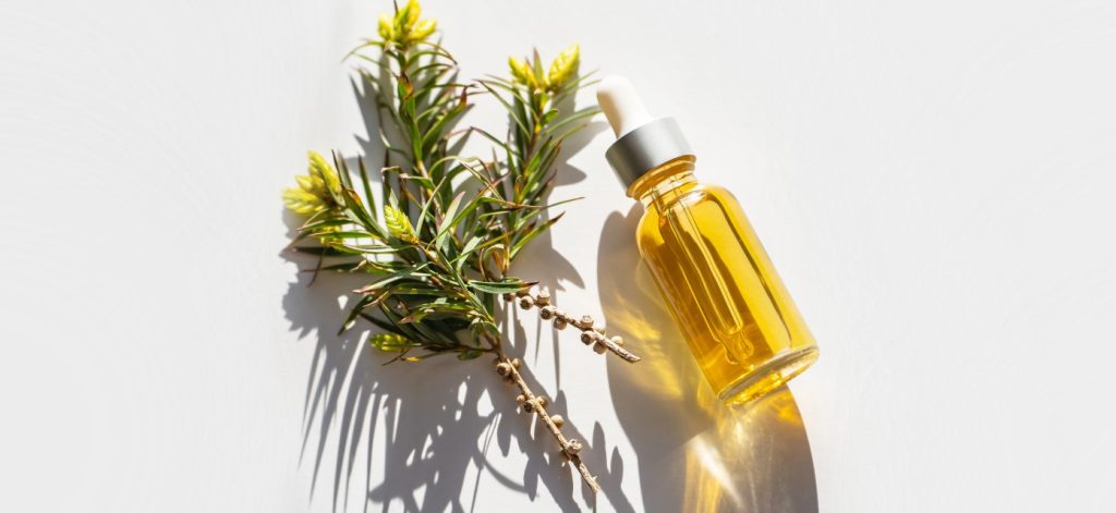 Tea Tree Oil, boccetta e ramo della pianta - Più Medical