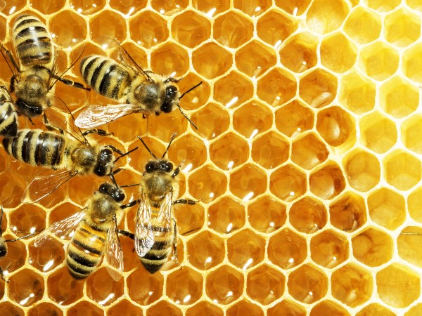 Concept per i benefici del miele sul mal di gola e la tosse - Più Medical