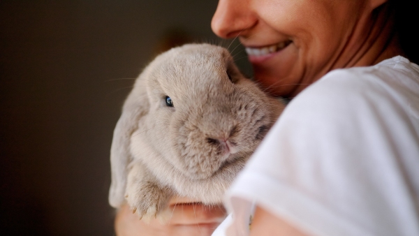 Concept per antiparassitario: donna tiene in braccio un coniglio - Più Medical