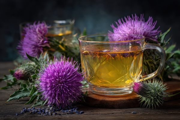 Concept per depurare il fegato: tisana al cardo mariano