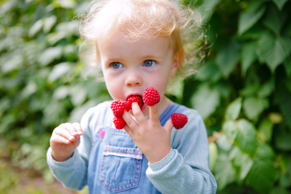 Concept per difese immunitarie bambini: bambina mangia lamponi appoggiati sulle dita