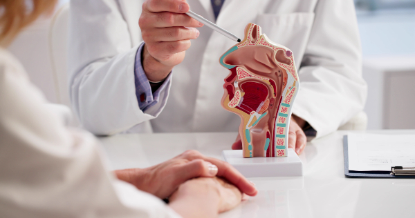 Concept per Faringite, rinite o sinusite: close up su modello 3D delle alte vie respiratorie